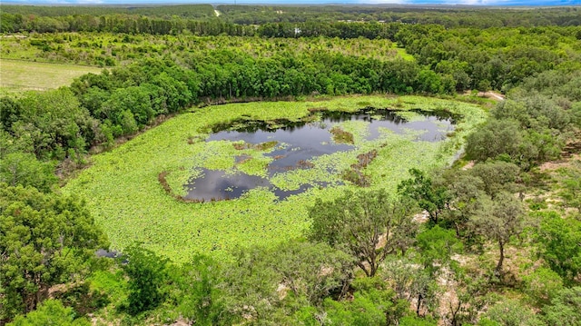 0 SE 165th Ave, Weirsdale, FL 32195