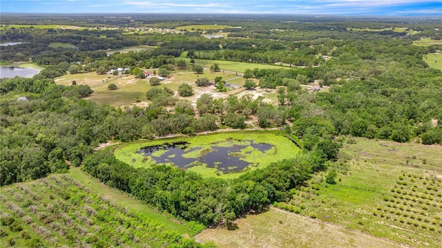 0 SE 165th Ave, Weirsdale, FL 32195
