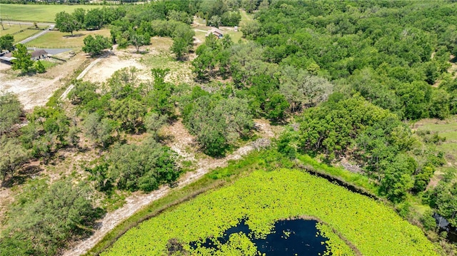 0 SE 165th Ave, Weirsdale, FL 32195