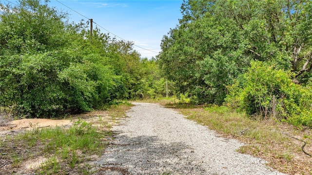 0 SE 165th Ave, Weirsdale, FL 32195