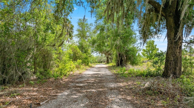 0 SE 165th Ave, Weirsdale, FL 32195