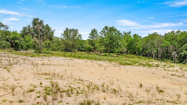 0 SE 165th Ave, Weirsdale, FL 32195