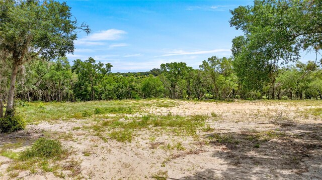 0 SE 165th Ave, Weirsdale, FL 32195
