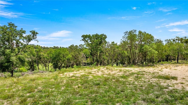0 SE 165th Ave, Weirsdale, FL 32195