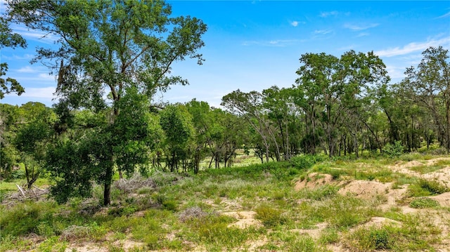 0 SE 165th Ave, Weirsdale, FL 32195