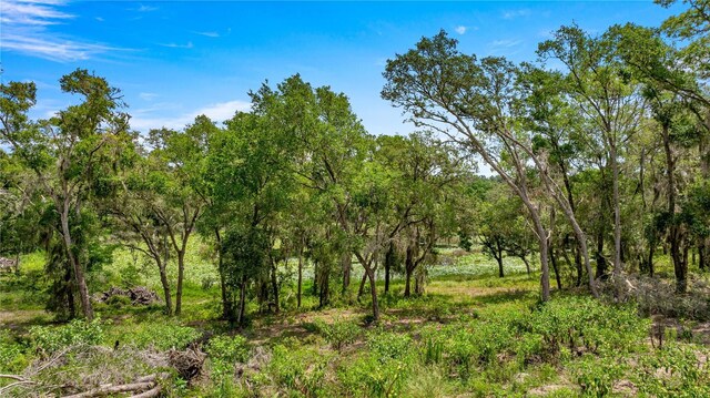 0 SE 165th Ave, Weirsdale, FL 32195