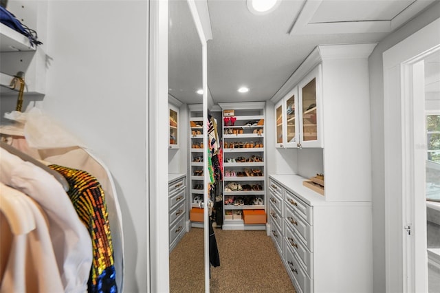 spacious closet featuring carpet flooring