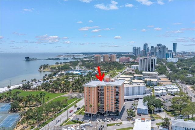 1120 N Shore Dr NE Unit 201, Saint Petersburg, FL 33701 - photo 30