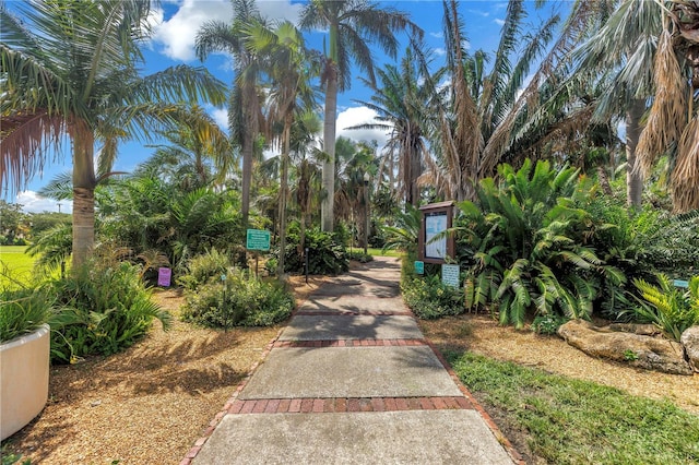 1120 N Shore Dr NE Unit 201, Saint Petersburg, FL 33701 - photo 36