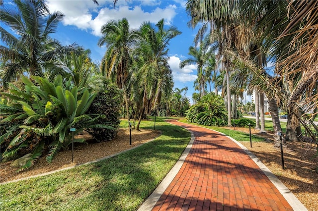 1120 N Shore Dr NE Unit 201, Saint Petersburg, FL 33701 - photo 37