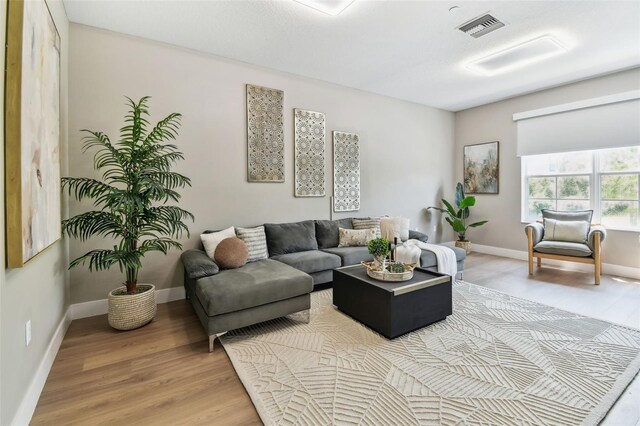 2547 Lexington Oak Dr, Brandon, FL 33511 - living area with wood finished floors and baseboards