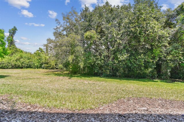 2547 Lexington Oak Dr, Brandon, FL 33511 - view of green lawn featuring a forest view