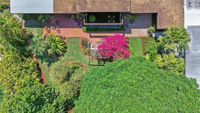 3501 S Drexel Ave, Tampa, FL 33629 - photo 47