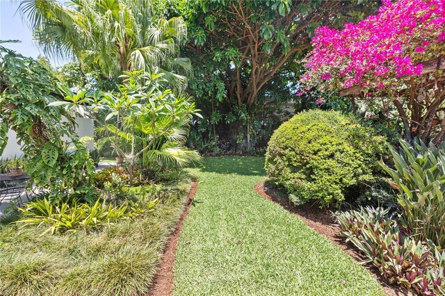 3501 S Drexel Ave, Tampa, FL 33629 - photo 50