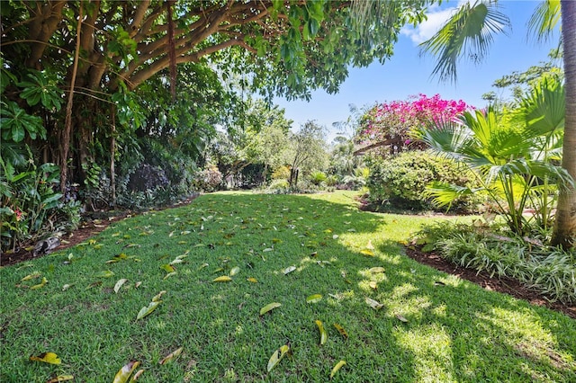 3501 S Drexel Ave, Tampa, FL 33629 - photo 51