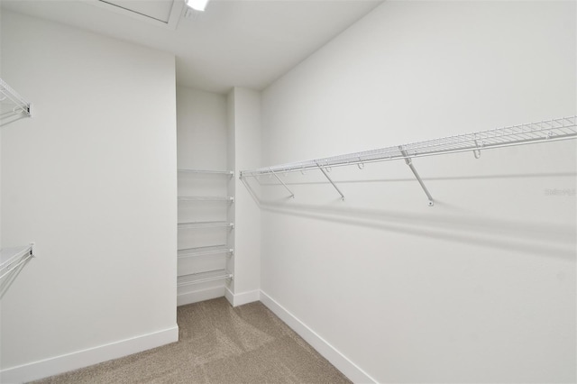2123 1st Ave N, Saint Petersburg, FL 33713 - spacious closet featuring light carpet