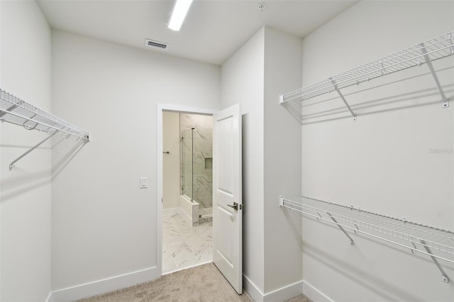 2123 1st Ave N, Saint Petersburg, FL 33713 - spacious closet with light carpet