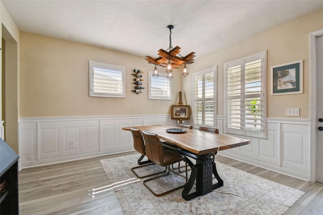 dining area featuring a healthy amount of sunlight, a wainscoted wall, light wood-style floors, and a textured ceiling