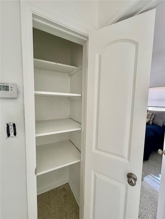 view of closet