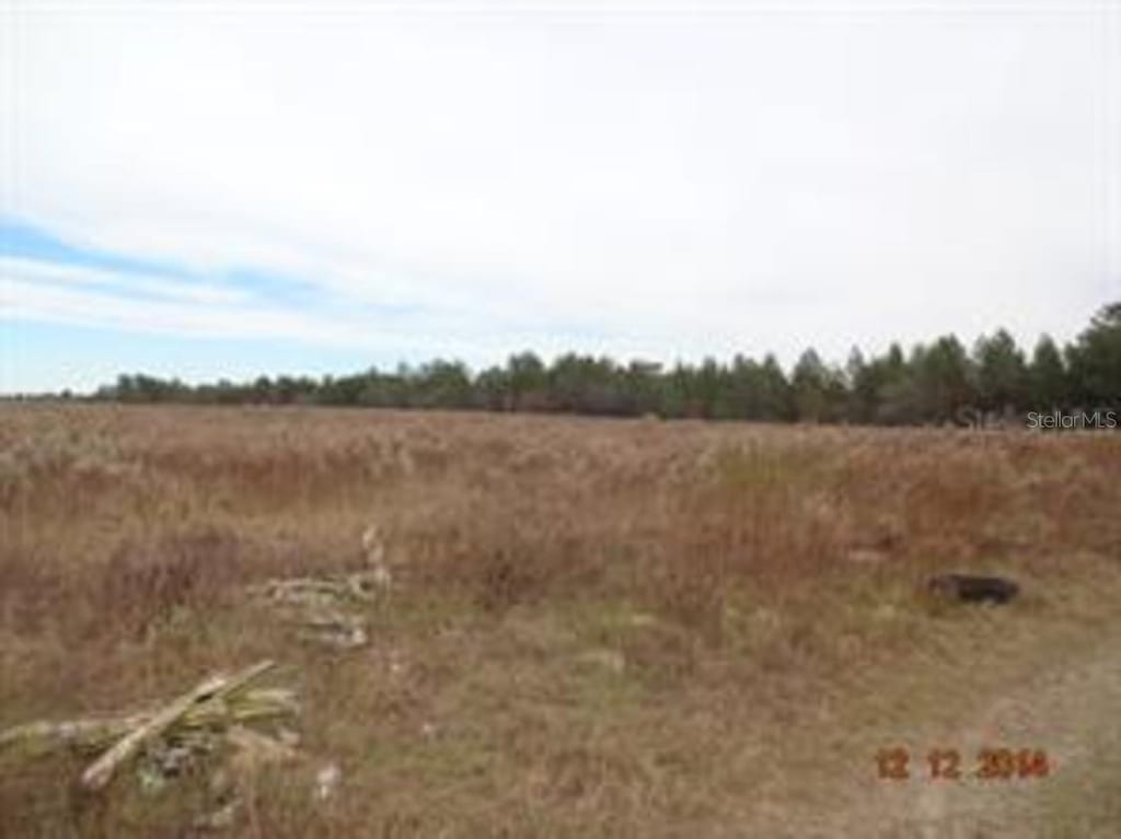 17520 County Line Rd, Spring Hill, FL 34610