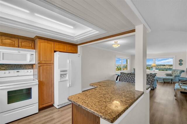 4725 Cove Cir Unit 601, Saint Petersburg, FL 33708 - kitchen with white appliances, light wood-style floors, dark stone counters, healthy amount of natural light, and crown molding