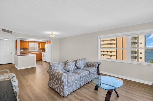4725 Cove Cir Unit 601, Saint Petersburg, FL 33708 - living room with light wood-style floors, plenty of natural light, baseboards, and a textured ceiling