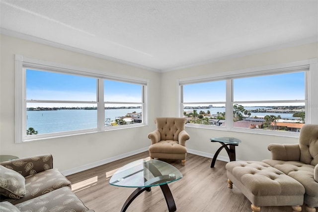 4725 Cove Cir Unit 601, Saint Petersburg, FL 33708 - sitting room featuring a water view, healthy amount of natural light, light wood-style floors, and baseboards