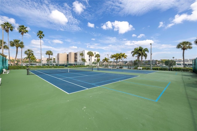 7625 Sun Island Dr S Unit 106, South Pasadena, FL 33707 - photo 19