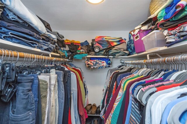 view of walk in closet
