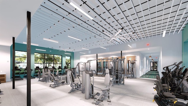 workout area with carpet