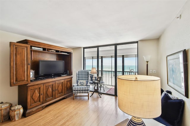 living area with expansive windows and light wood-style flooring