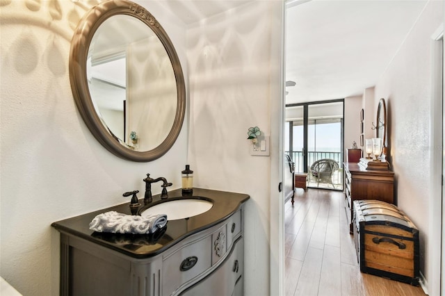 bathroom with vanity and wood finished floors