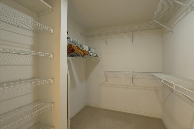 6330 99th Way N Unit 14F, Saint Petersburg, FL 33708 - spacious closet featuring carpet floors