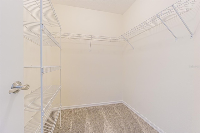 29436 Zeller Ave, San Antonio, FL 33576 - spacious closet with carpet flooring