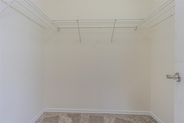 29436 Zeller Ave, San Antonio, FL 33576 - spacious closet featuring carpet