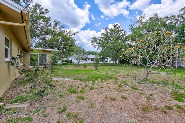 2961 Briar Cliff Dr, Palm Harbor, FL 34684 - view of yard