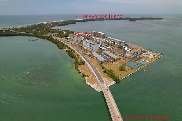 7 Island Park Pl Unit 204, Dunedin, FL 34698 - drone / aerial view of a large body of water