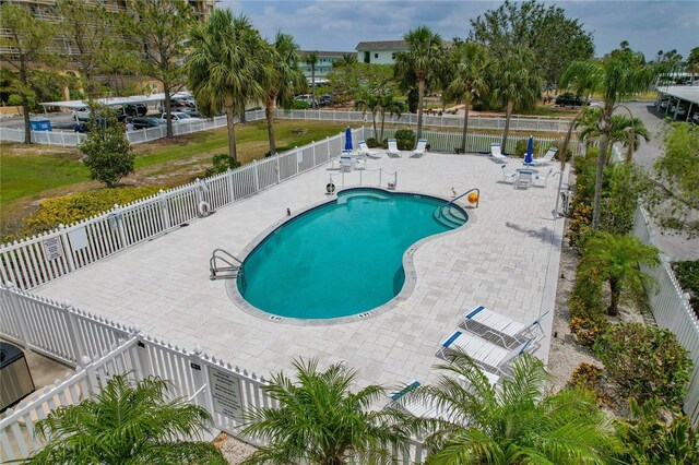 7 Island Park Pl Unit 204, Dunedin, FL 34698 - photo 25