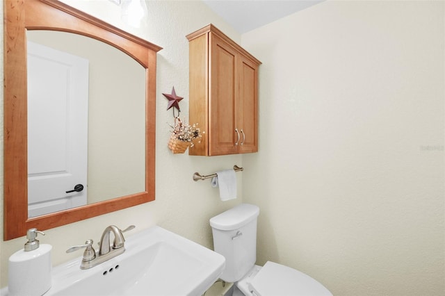 430 44th Ave NE, Saint Petersburg, FL 33703 - photo 18