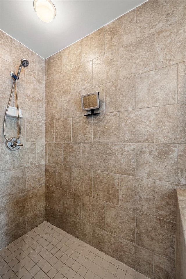 1227 E Madison St Unit 902, Tampa, FL 33602 - full bath with tiled shower