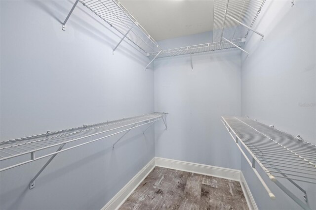 1227 E Madison St Unit 902, Tampa, FL 33602 - spacious closet with wood finished floors