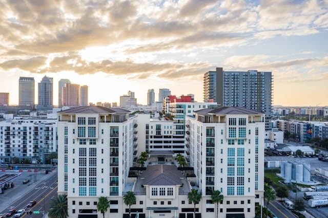 1227 E Madison St Unit 902, Tampa, FL 33602 - city view