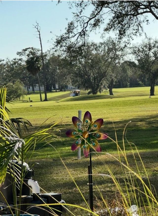 view of home's community featuring a yard
