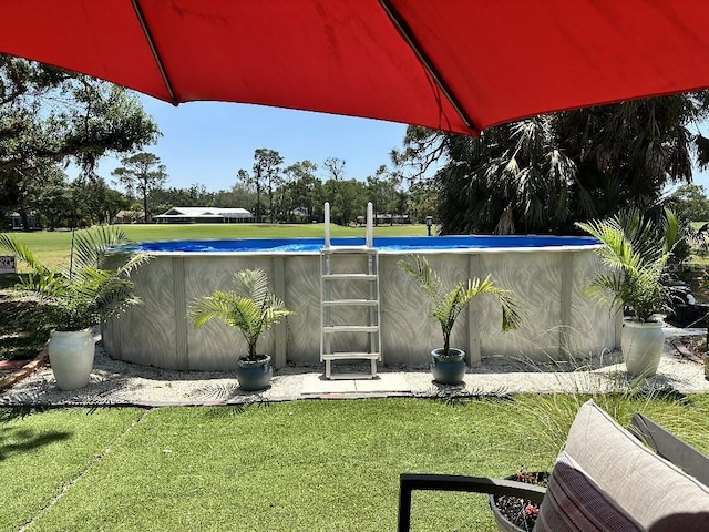 view of yard featuring an outdoor pool