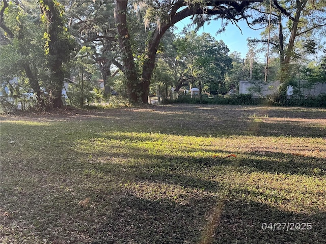 14711 N 30th St, Lutz, FL 33559