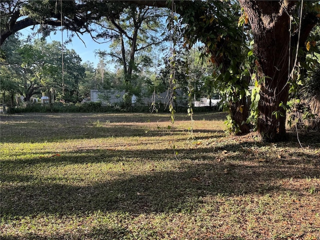 14711 N 30th St, Lutz, FL 33559