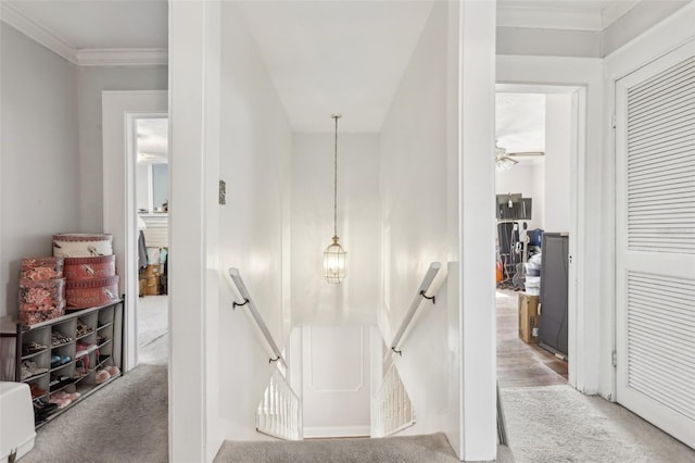 757 32nd Ave N, Saint Petersburg, FL 33704 - hall with carpet floors, ornamental molding, and an upstairs landing
