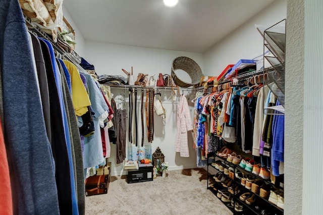 spacious closet with carpet