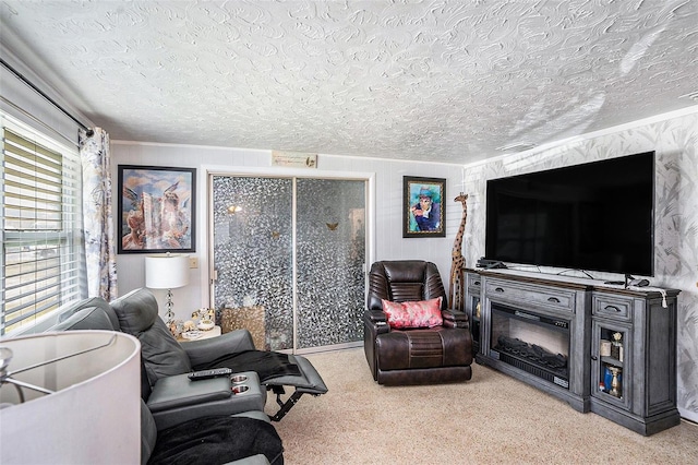 living area featuring carpet floors, ornamental molding, and a textured ceiling