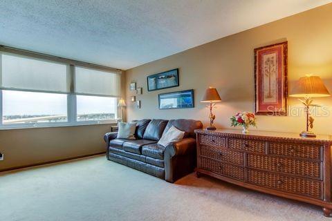 carpeted living area featuring a textured ceiling